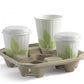 Biopak Carry Trays